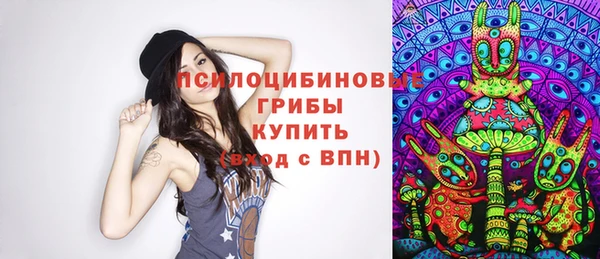 гидра Абдулино